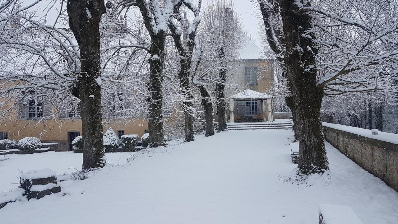 Chateau De Mauvilly Bed & Breakfast Екстериор снимка